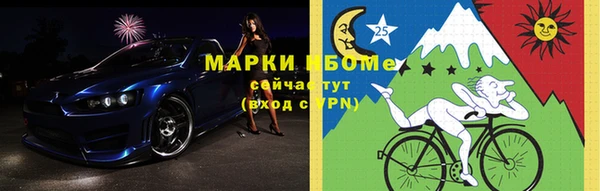 прущие грибы Балабаново