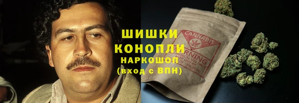 прущие грибы Балабаново
