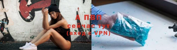 прущие грибы Балабаново