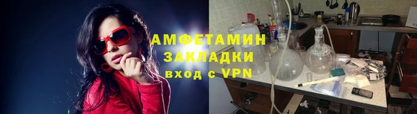 прущие грибы Балабаново