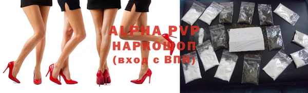 прущие грибы Балабаново