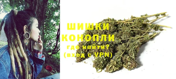 прущие грибы Балабаново