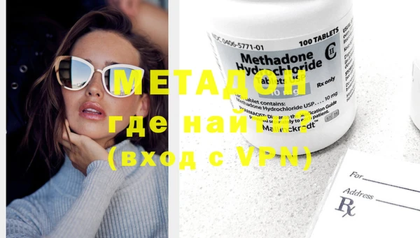 прущие грибы Балабаново