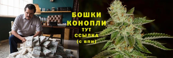 прущие грибы Балабаново