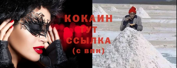 прущие грибы Балабаново
